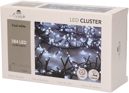 Anna's Collection Clusterverlichting helder wit buiten 384 lampjes met timer kerstverlichting