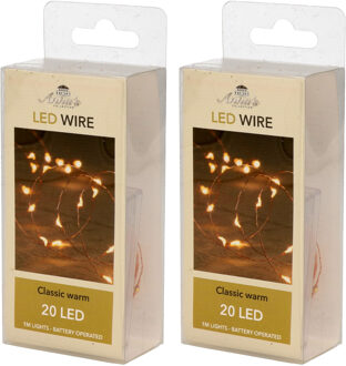 Anna's Collection Draadverlichting - 2x - lichtsnoer - 20 led lampjes - warm wit - 100 cm - op batterij
