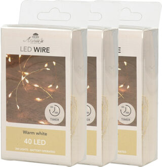 Anna's Collection Draadverlichting - 3x - goud - 40 led lampjes - warm wit - 200 cm - batterij - lichtsnoer