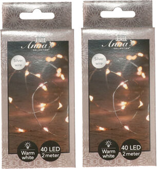 Anna's Collection Draadverlichting lichtsnoer - 2x - 40 led lampjes - warm wit - zilver draad - 200 cm - lichtdraad