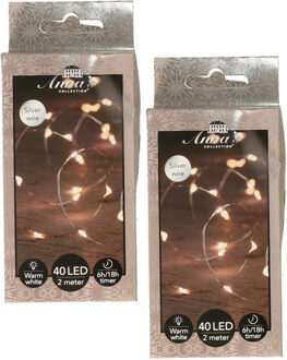 Anna's Collection Draadverlichting lichtsnoer - 2x - 40 led lampjes - warm wit - zilver draad - 200 cm - lichtdraad