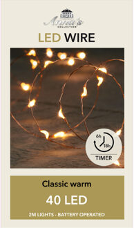 Anna's Collection Draadverlichting lichtsnoer - 40 led lampjes - koper draad - warm wit licht - 200 cm