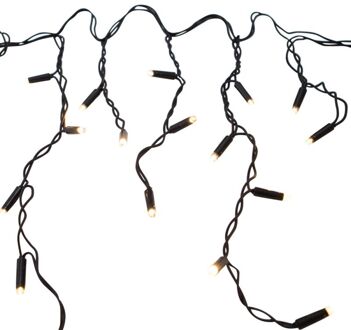 Anna's Collection - Ijspegelverlichting - 4 m - 100 lampjes