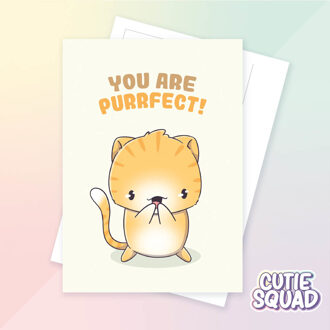 Ansichtkaart - You are purrfect
