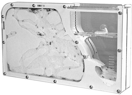 Ant Nest Diy Antgranery Vocht Voeden Gebied Acryl Ant Farm Mieren Huis Voor Raising Veel kleine Mieren