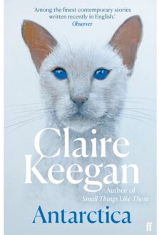 Antarctica - Claire Keegan
