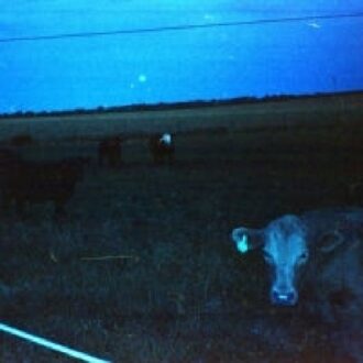 Antarctica - Waveform*