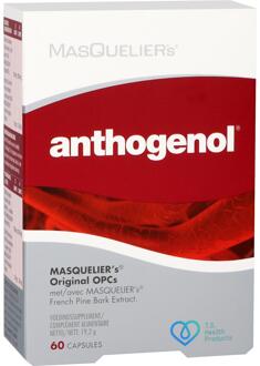 Anthogenol - 60 capsules
