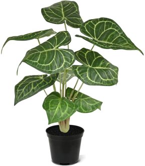 Anthurium Clarinervium 35 cm - Kunstplant