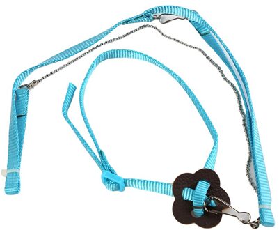 Anti-Bite Vliegende Training Touw Papegaai Vogel Huisdier Aangelijnd Kits Ultralight Harness Leash Zachte Draagbare Huisdier Playthings blauw