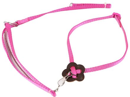 Anti-Bite Vliegende Training Touw Papegaai Vogel Huisdier Aangelijnd Kits Ultralight Harness Leash Zachte Draagbare Huisdier Playthings roze