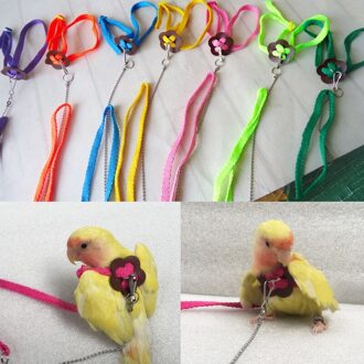 Anti-Bite Vliegende Training Touw Papegaai Vogel Huisdier Aangelijnd Kits Ultralight Harness Leash Zachte Draagbare Huisdier Playthings