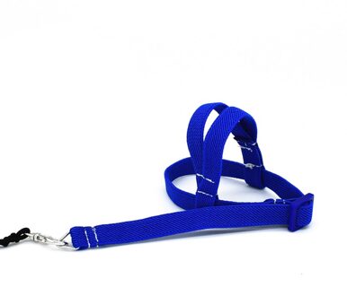 Anti-Bite Vliegende Training Touw Papegaai Vogel Huisdier Aangelijnd Kits Ultralight Harness Leash Zachte Draagbare Huisdier Spelen dingen blauw