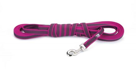 Anti Slip Hondenriem Roze Met Handvat 10M (20Mm)