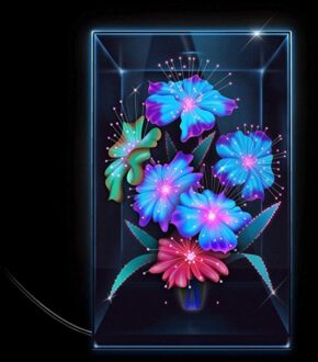 Anti Una Rosa - Xenia Rubinos