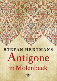 Antigone in Molenbeek - Boek Stefan Hertmans (902346348X)