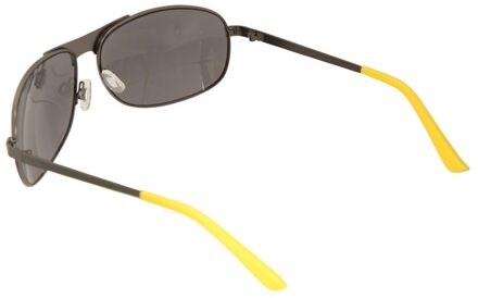 Antony Zonnebril Heren (Zilver)