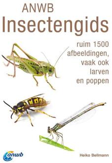 Anwb Insectengids - Anwb Natuurgidsen - Heiko Bellmann