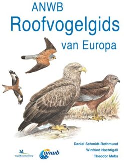 ANWB Roofvogelgids van Europa - (ISBN:9789021585703)