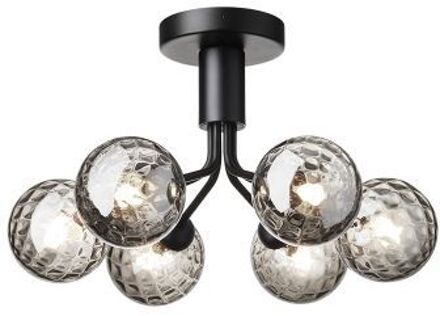 Apiales 6 Plafondlamp - Zwart - Gerookt glas