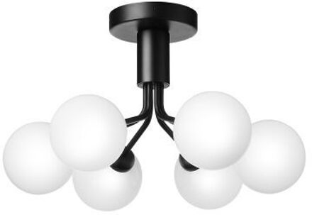 Apiales 6 Plafondlamp - Zwart - Opaal