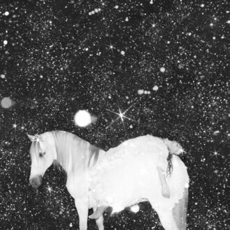 Apocalypse Love - The Black Lips