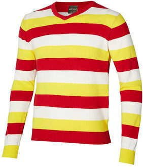 Apollo Carnaval verkleed trui Oeteldonk - v-hals - rood/wit/geel S