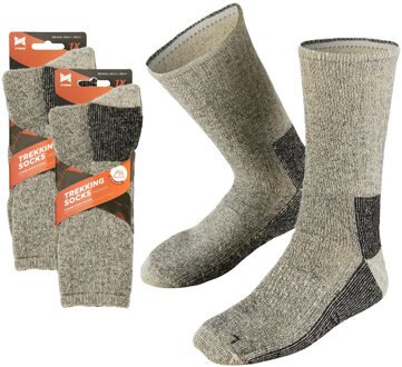 Apollo Extra warme grijze wollen sokken - 2 paar - maat 45/47 - dames/heren - wintersokken 45/47