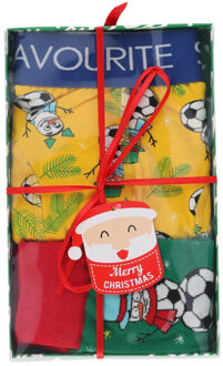 Apollo Heren kerst boxershort + sokken cadeau set favourite santa giftbox - maat XL Veelkleurig