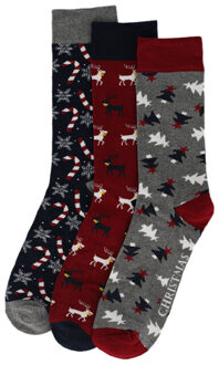 Apollo Heren kerstsokken giftbox 3-pack print Veelkleurig - 41-46