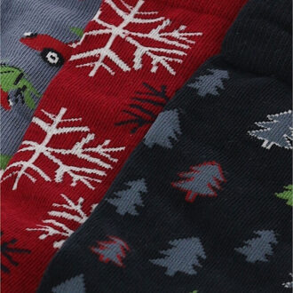 Apollo Heren kerstsokken giftbox 3-pack Veelkleurig - 41-46