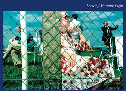 Apollo Morning Light - Locust