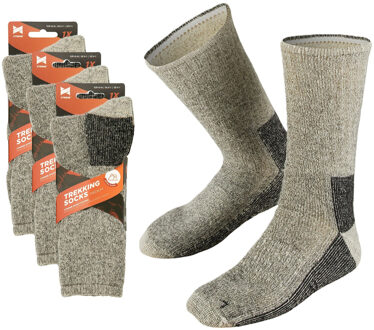 Apollo Set van 3x stuks extra warme grijze dames/heren sokken maat 39/42 39/42