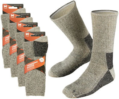 Apollo Set van 4x stuks extra warme grijze dames/heren sokken maat 39/42 39/42