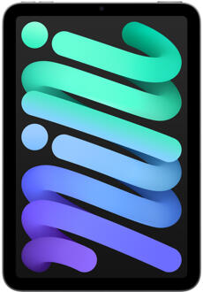 Apple iPad mini (2024) 128GB WiFi Tablet Grijs