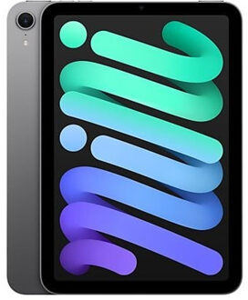 Apple iPad mini (2024) 256GB WiFi + 5G Tablet Grijs