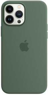 Apple iPhone 13 Pro Max Back Cover met MagSafe Eucalyptus