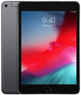 Apple WiFi + Cellular 256 GB Spacegrijs