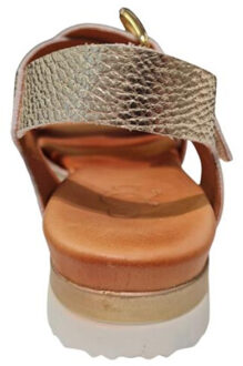 Aqa A8571 frp Goud - 38