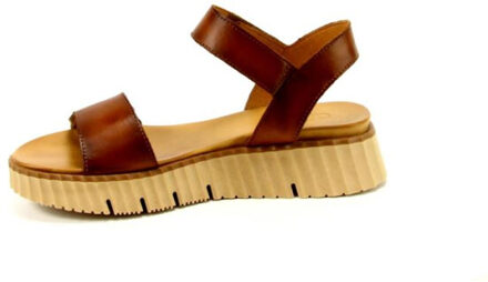 Aqa A8577 Klaproos - 40