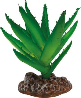 AquaDistri - Repto Plant Aloe Vera 13cm