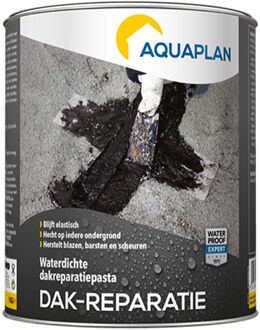 Aquaplan Dakreparatie 1kg