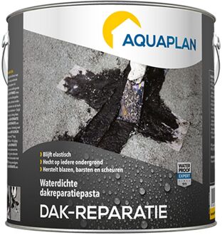 Aquaplan Dakreparatie 2,5kg