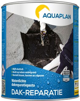 Aquaplan Waterdichte Dakreparatiepasta Zwart 1kg