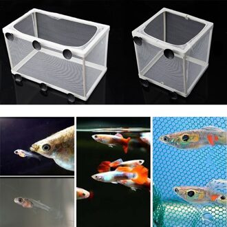 Aquarium Aquarium Guppy Fok Fokker Fish Baby Gaas Val Doos Isolator S/L Gxma