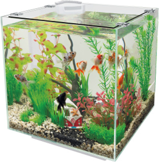 Aquarium Qubiq 30 - Aquaria