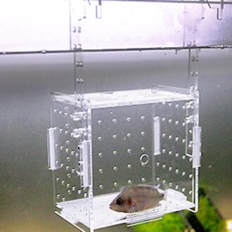 Aquarium Transparant Aquarium Fish Fry Incubator Fokken Doos Productie Doos Enkele En Dubbele Raster Isolatie Netwerk 20x20x30CM single1