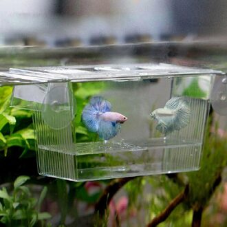 Aquarium Visteelt Incubator Netto Aquarium Fokken Isolatie Box Aquarium Aparte Container Aquarium Accessoire