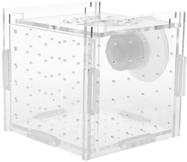 Aquarium Visteelt Isolatie Box Baby Vis Incubator Hatch Fokker Fish Tank