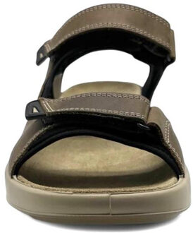 Ara 11-21506 piero Bruin - 42